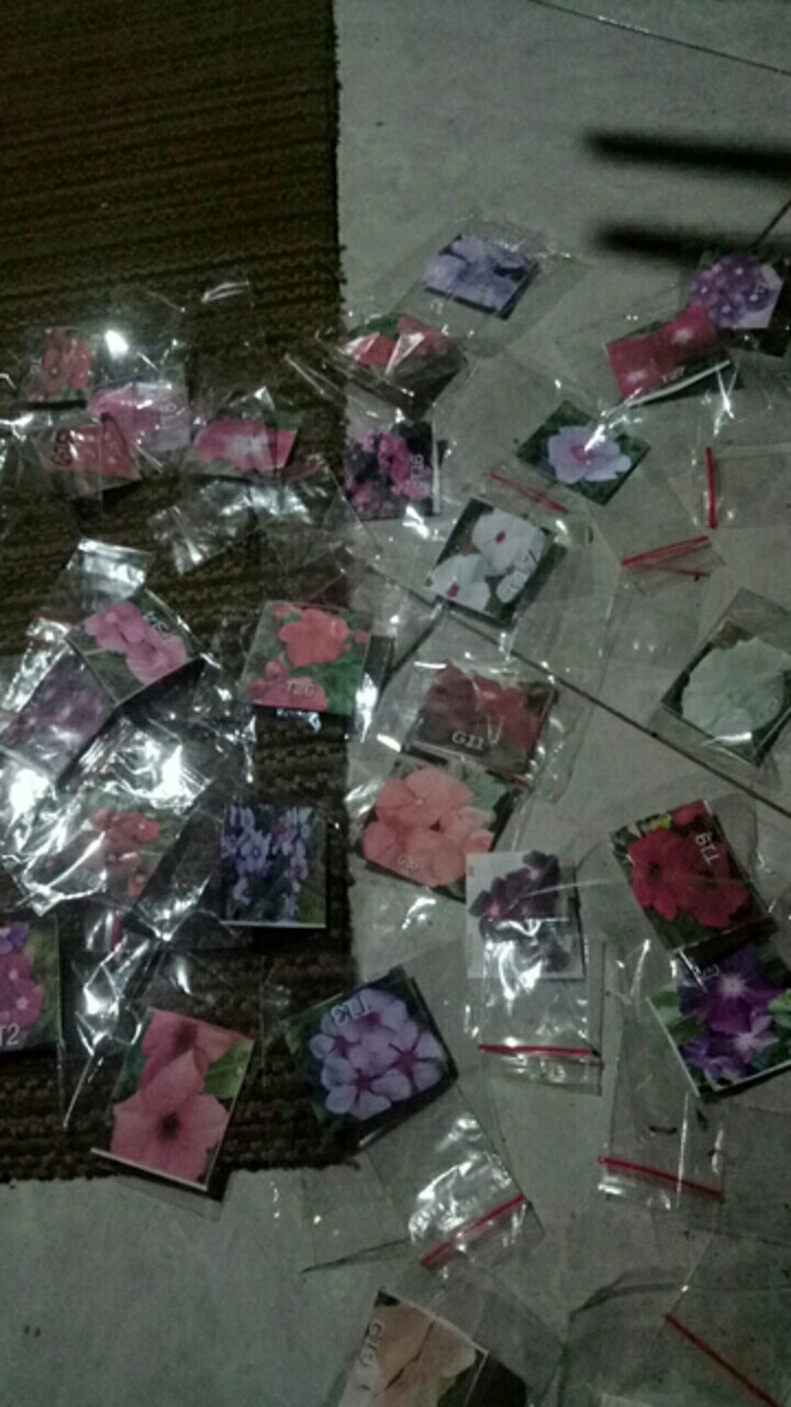 Moserose Impor Banana