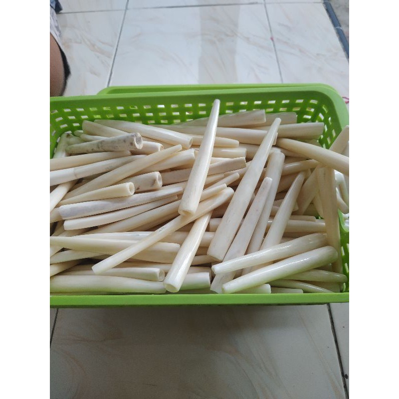 

unce tulang sapi murah 10-12 cm