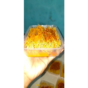 

mie lidi endulita