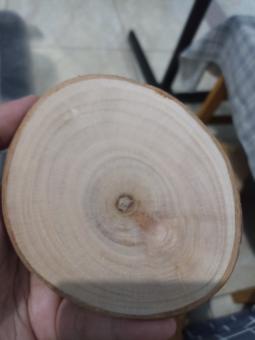 Alas Gelas Kayu Wood Coaster Tatakan Minum Peralatan Dapur Prop Foto Dekorasi Rumah 1pcs