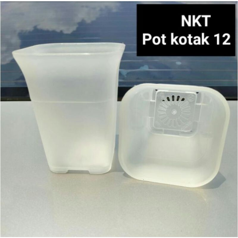 pot bunga | Kotak 12 cm | Pot kotak 12 cm warna bening | POT NKT
