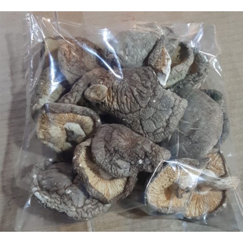 

Jamur Shintake/ Hioko 50gr