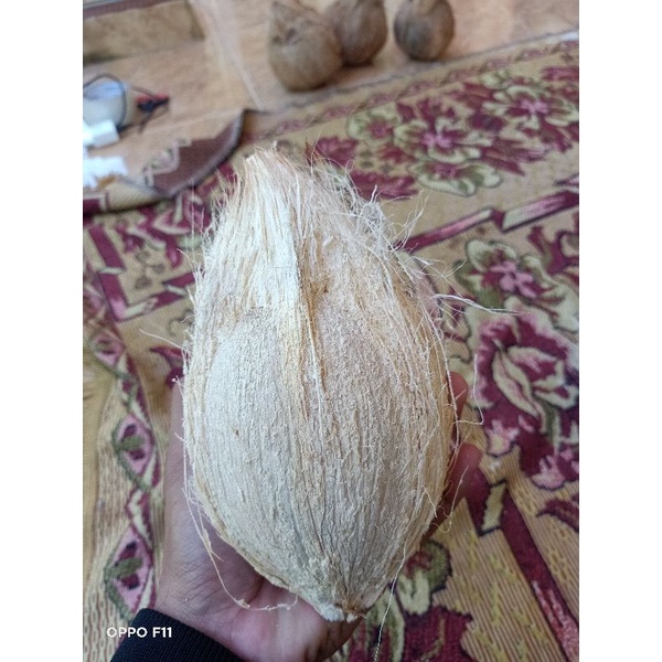 

PUAN/KOPYOR MADURA