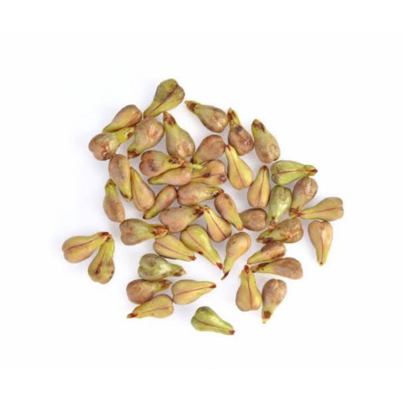 

bibit anggur 20 biji