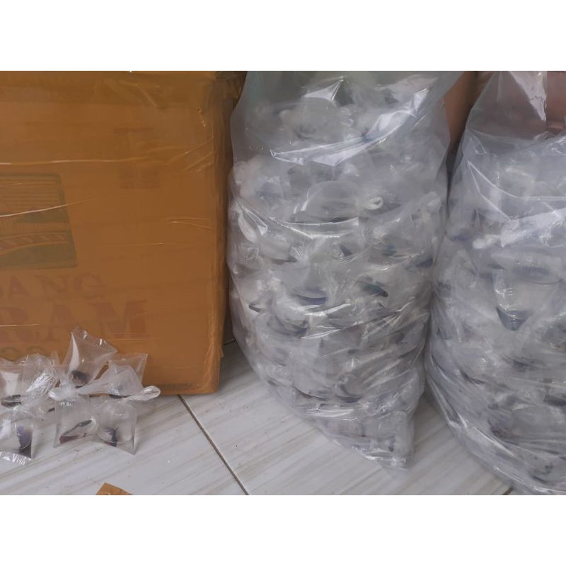 cupang cendolan male dan flame