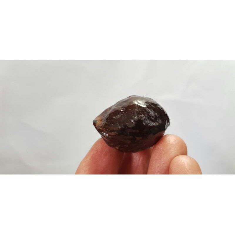 

Muncang adu Jayanti urgen