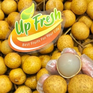 

Buah Kelengkeng / Lengkeng