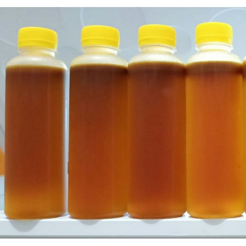 

madu asli hutan