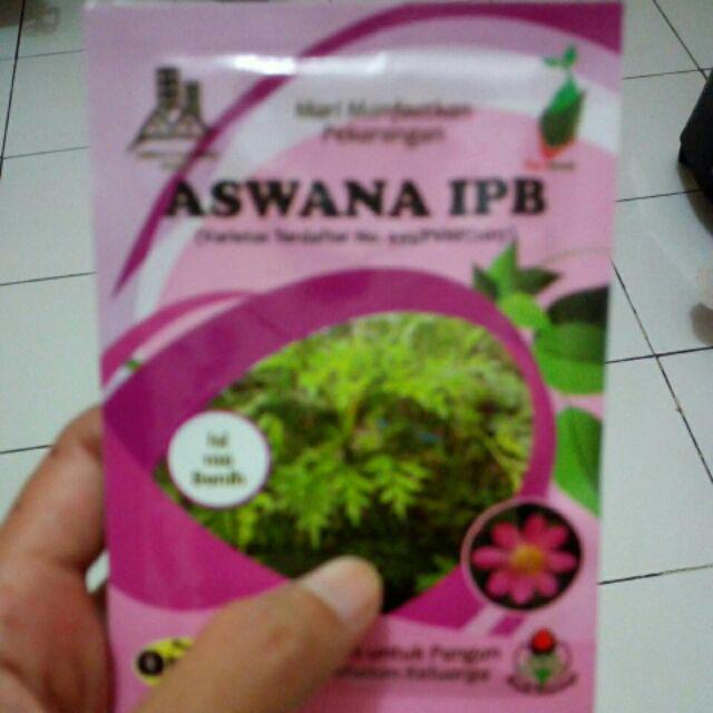 Benih Sayuran Daun Kenikir Bunga Pink / Ungu