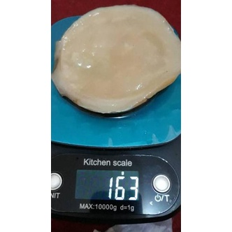 

DYD TERMURAH!!! SCOBY ATAU JAMUR DIPO TERMURAH UNTUK MEMBUAT KOMBUCHA pqco891