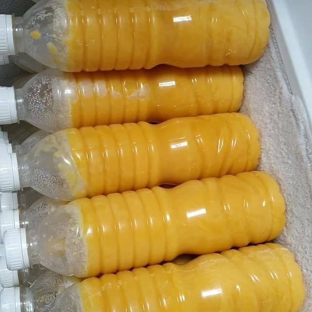 

colostrum kefir p1 isi 1000g