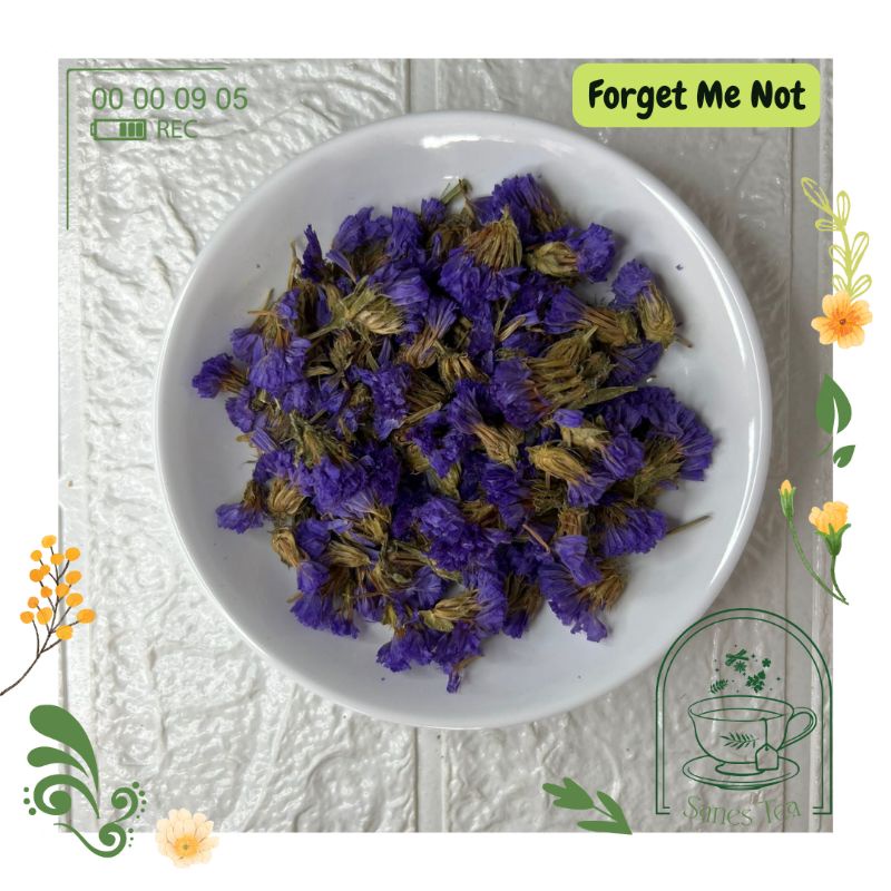 Jual Me Not Flower Tea Premium Grade Shopee Indonesia
