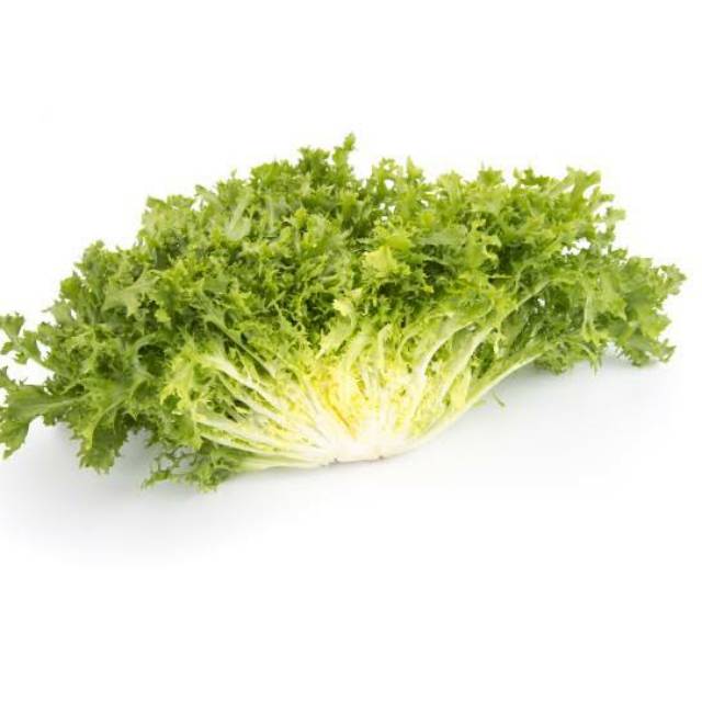 

Selada Endive / Frisee / Frissee / Frisse Lettuce 500gram