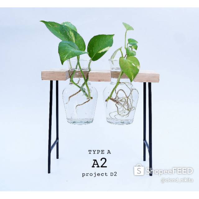 Vas Bunga / Tanaman Hidroponik, Vas Kaca