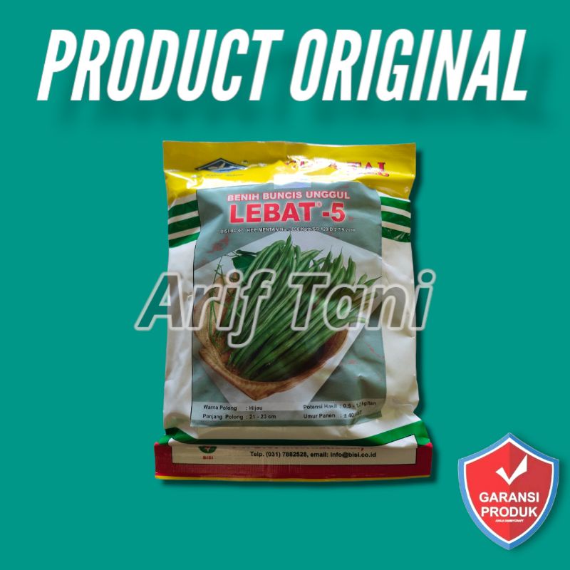 BENIH BUNCIS LEBAT 5 - 500 GRAM