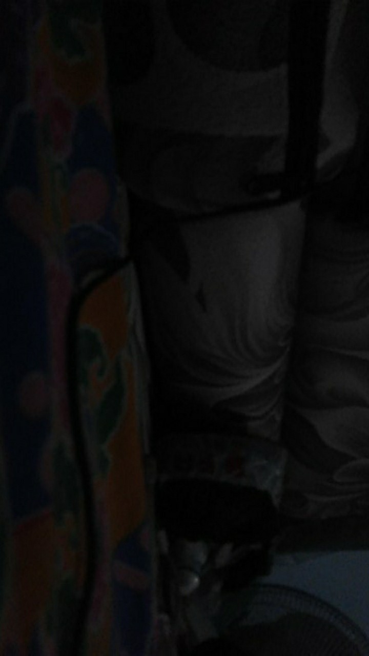 Elber Tempat Sikat Pasta Gigi Lady Bug Toothpaste Brush Organizer