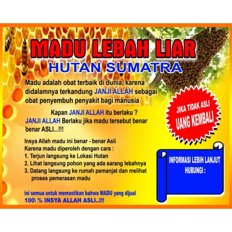 

madu asli hutan Sumatera