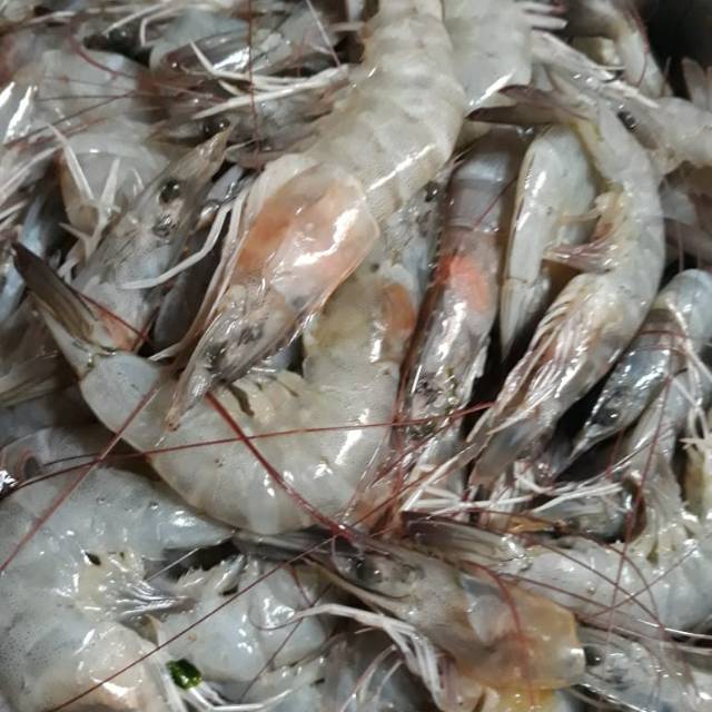 

Udang Beku Panami setengah kg