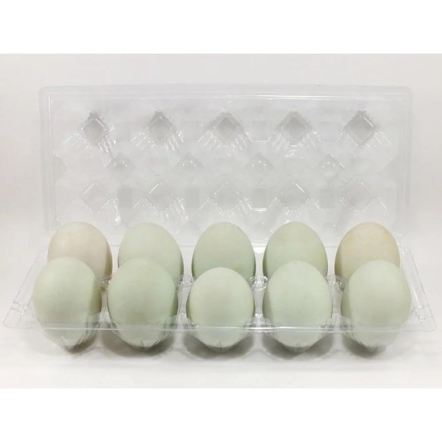 Tray Telur  Egg Tray Mika Telur Isi 10 Butir Tanpa Pengunci