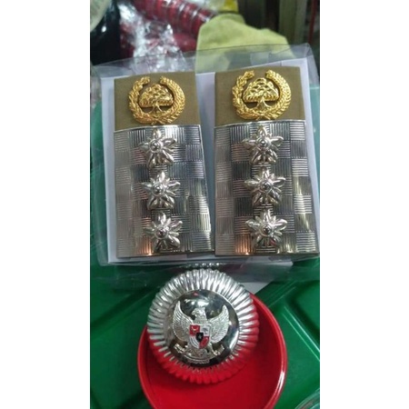 pangkat plus tanjab camat#pangkat camat