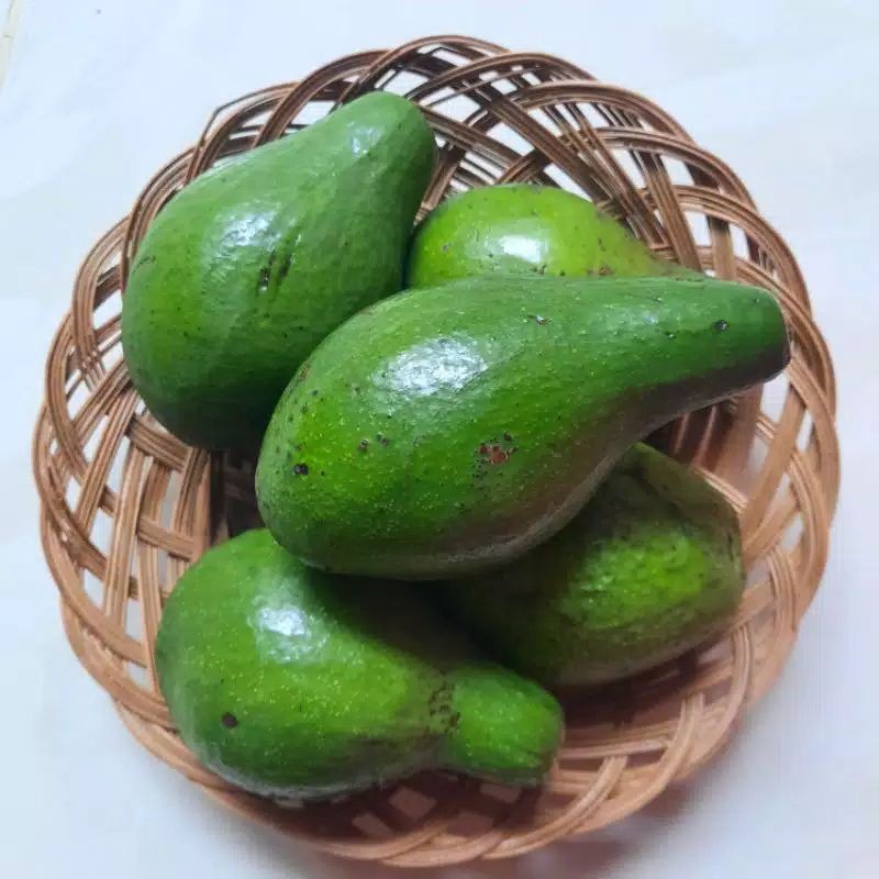 

buah alpukat mentega super 1kg