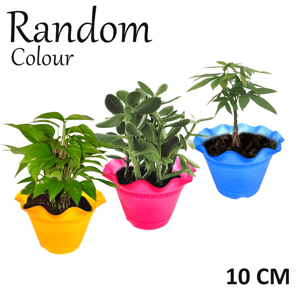 12 pcs Mercury Pot Tanama Bunga Hias Plastik 10cm - Random Colour