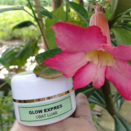 Cream Malam Glow Express