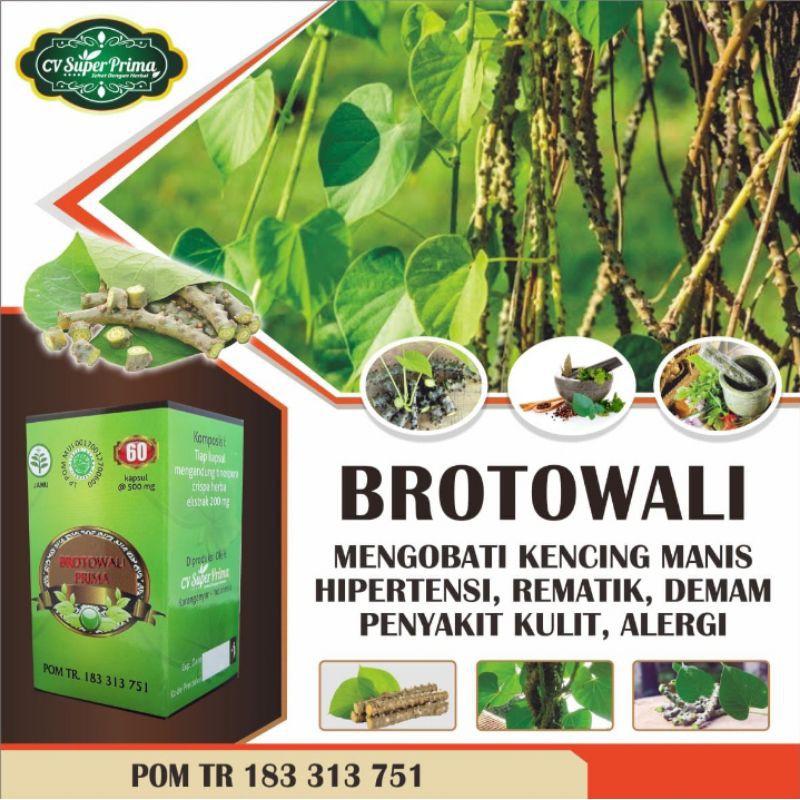 

Brotowali 60 Kapsul - Kencing Manis. Diabetes. Penyakit Kulit. Alergi. Anti Virus. Demam. Alami