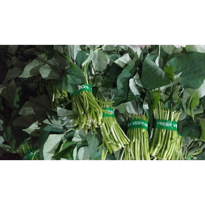 

Sayur Hijau Daun Ubi Segar