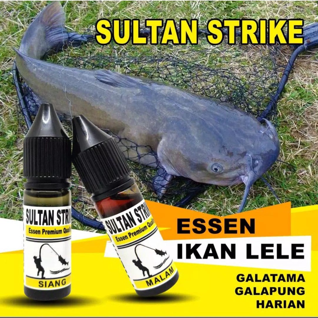 Essen khusus ikan lele strike sultan , jagonya strike
