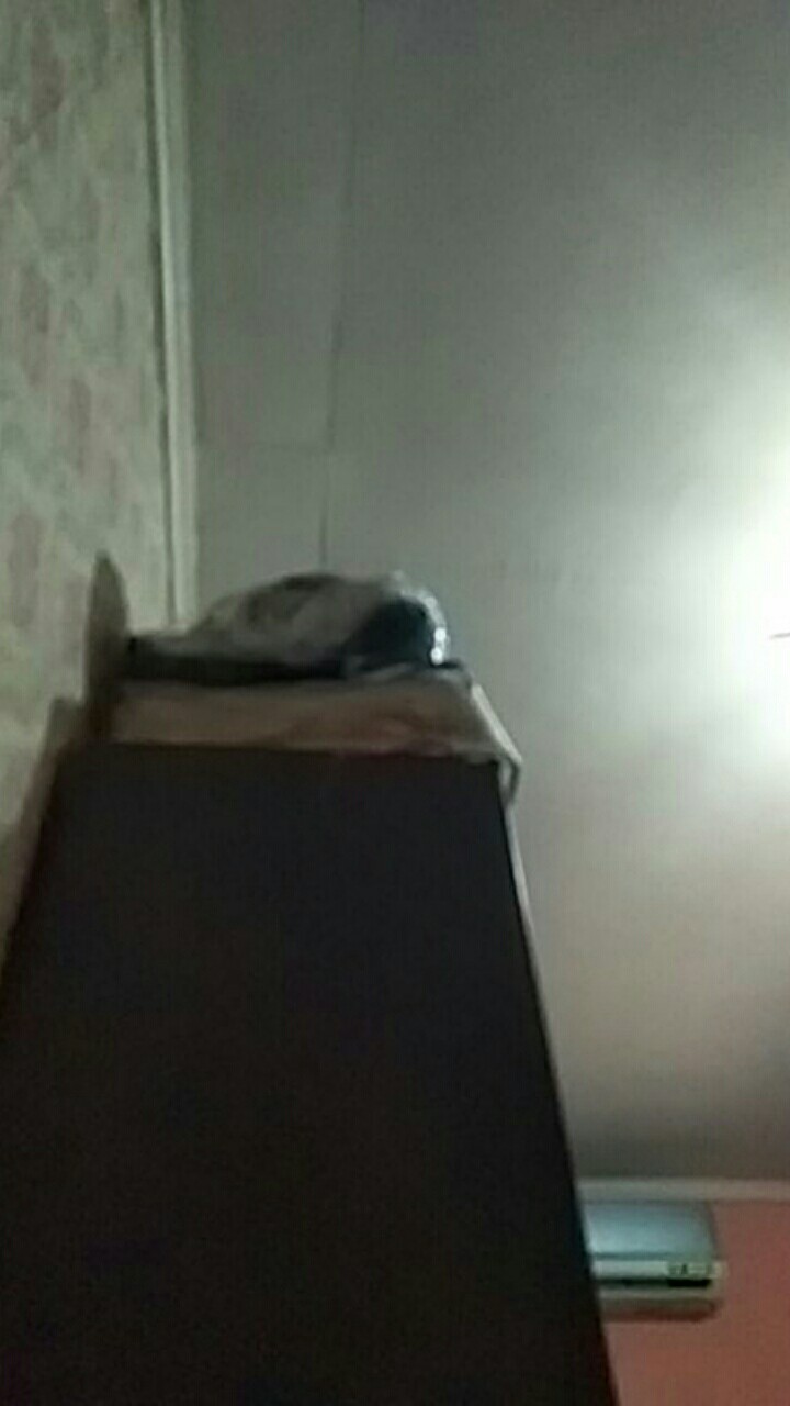 Meg Keju Serbaguna 2 Kg