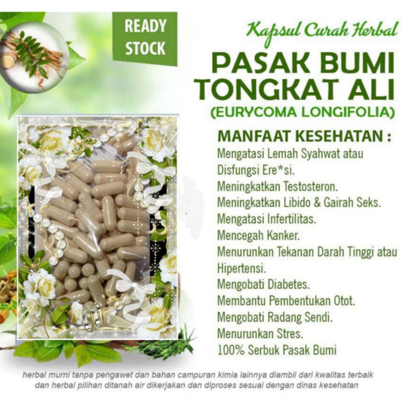 Kapsul Pasak Bumi Isi 100 Tongkat Ali Pasakbumi Herbal Pria Shopee Indonesia