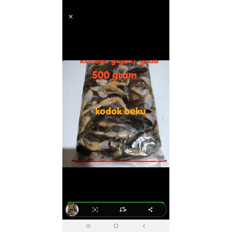 kodok beku kodok sawah kodok frozen pakan ikan hias predator per kg