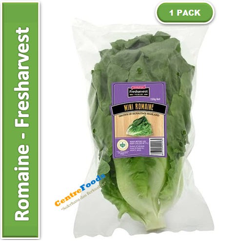 

Salad Mini Romaine | Fresharvest [ Harga Per PACK ]