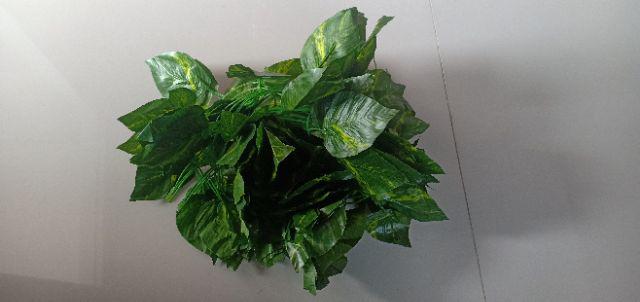 Termurah!!! Daun Rambat Plastik/ Daun Rambat Palsu / Daun Rambat Sintetis /aquaria Qr0941