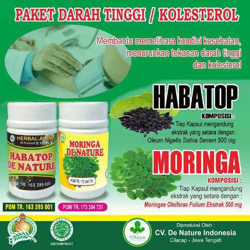 Obat Alami Ramuan Herbal Jantung Koroner Stroke Hipertensi Darah Tinggi Asam Urat De Nature Shopee Indonesia