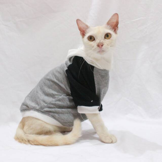 Kaos jumper hoodie batman untuk kucing dan anjing size S-XL / baju kucing terlaris 2019