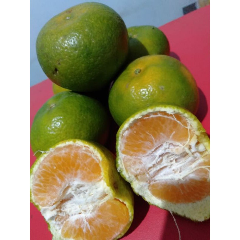 

jeruk madu kerinci