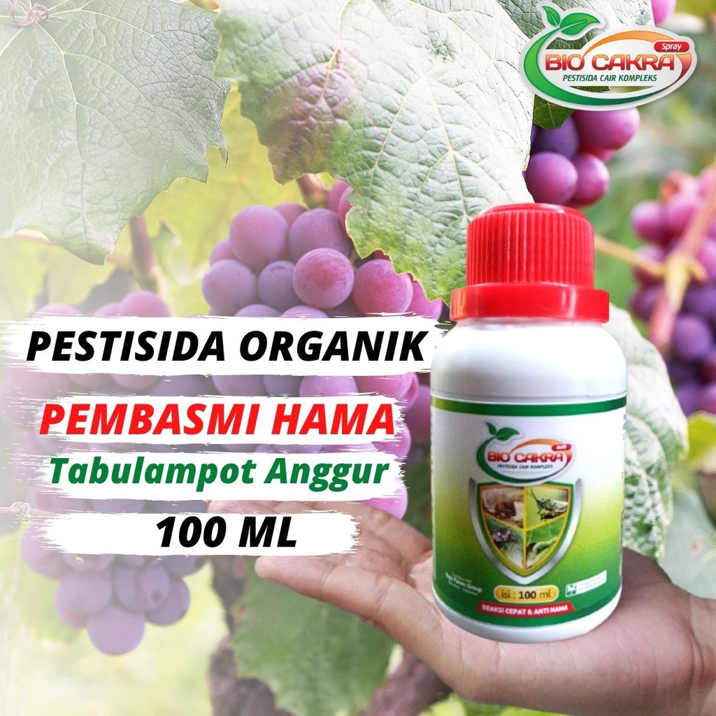 Jual Pestisida Organik Tanaman Tabulampot anggur brazil, Obat Pembasmi