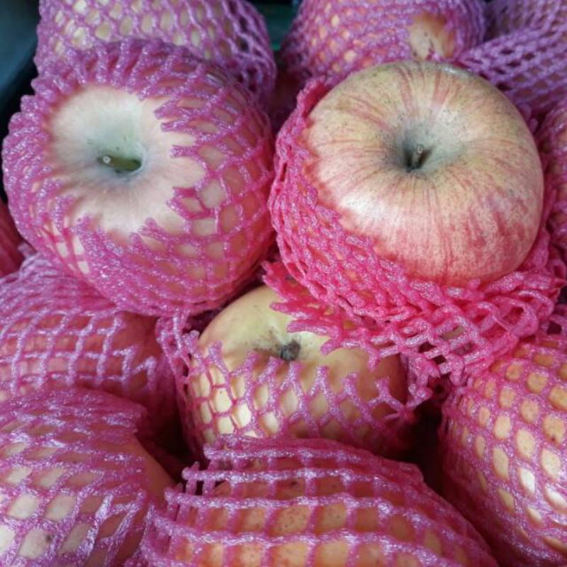 

Apel Fuji 1/2Kg Buah Segar Bandung