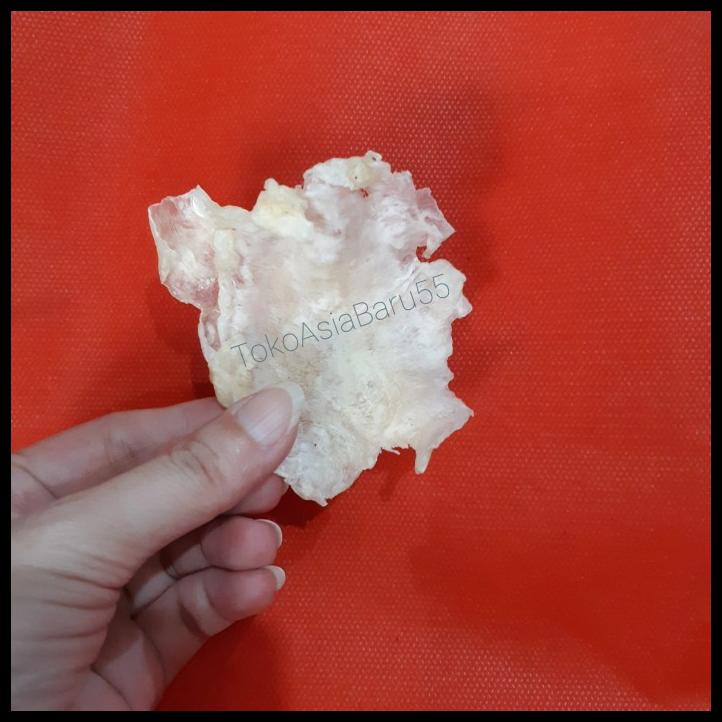 

Perut Ikan 50Gr / Gelembung Ikan / Hipio / Yi Phiaw