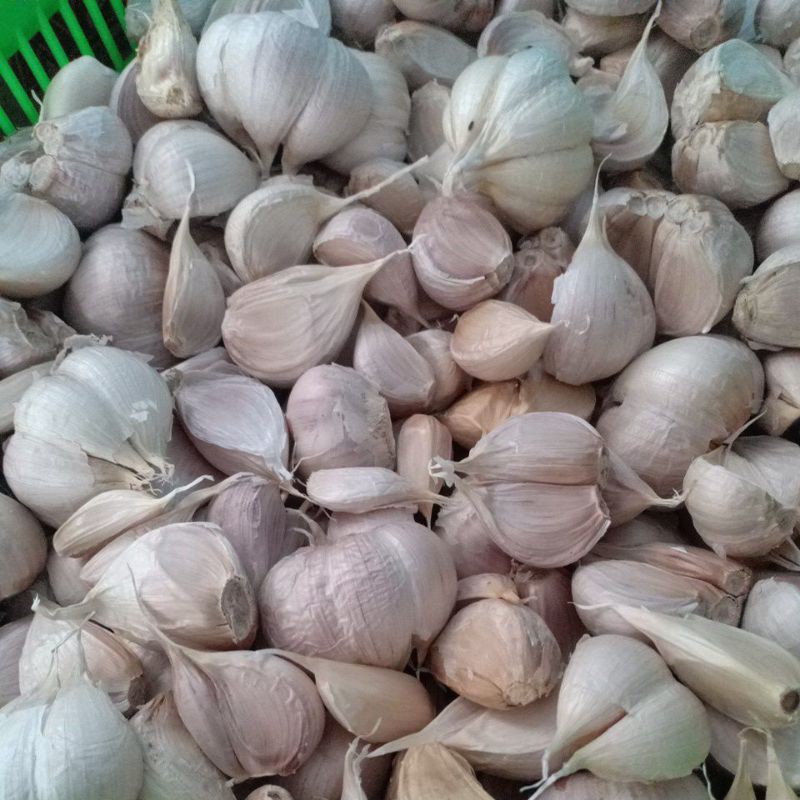 

bawangkatingbersih250gram