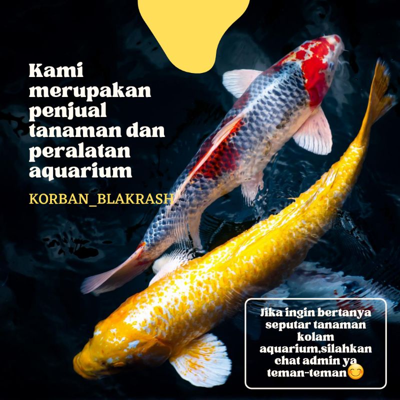 Pompa Celup Filter Aquarium Hidroponik Low Watt 107 5200 - Power Head Mesin Air Kolam Ikan Koi Besar