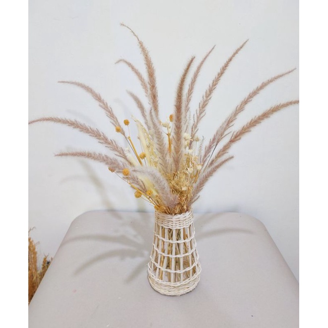 BUNGA PAMPAS NATURAL KECIL (ALANG")