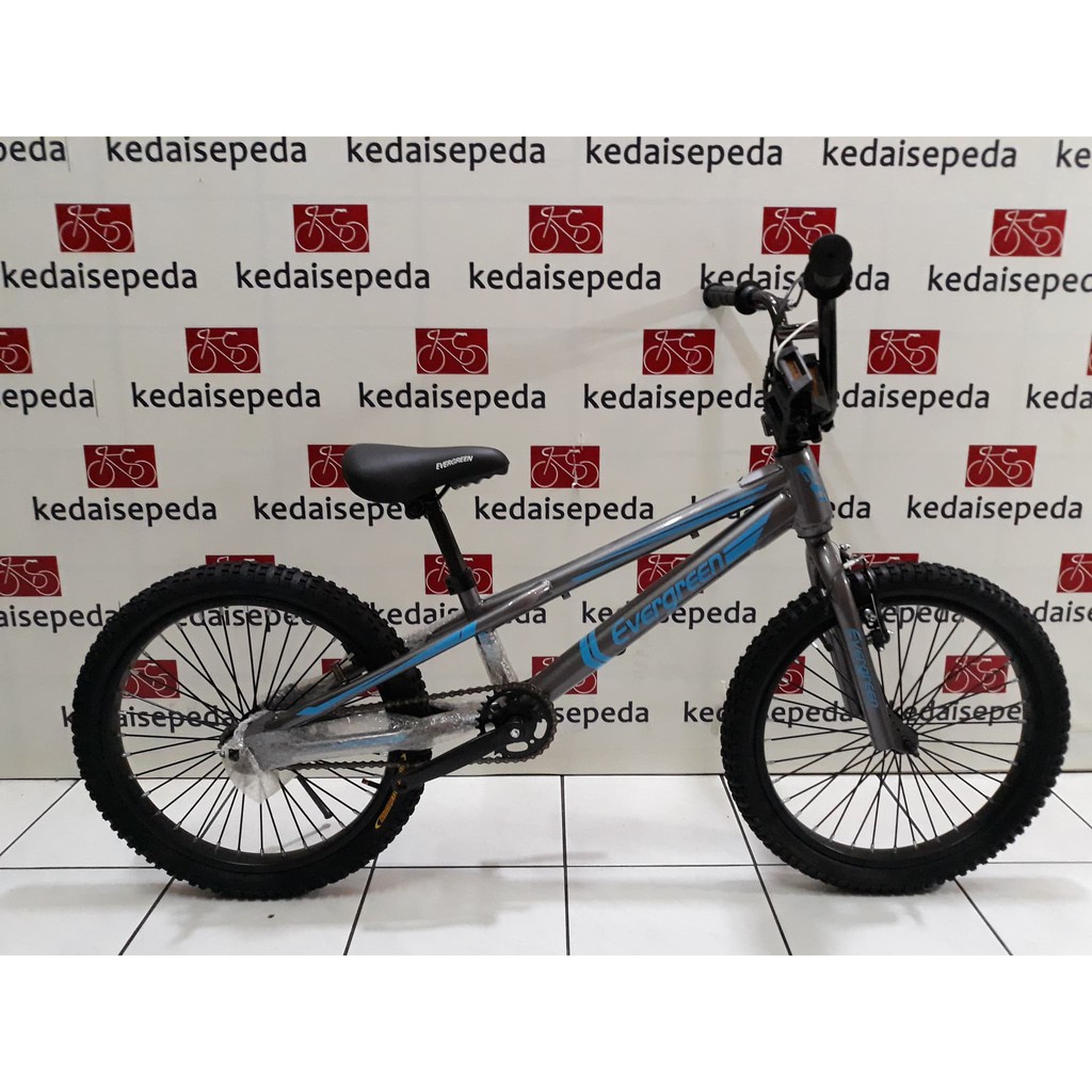 DISKON  Sepeda anak BMX 20 Evergreen Rotor+Torpedo KS01