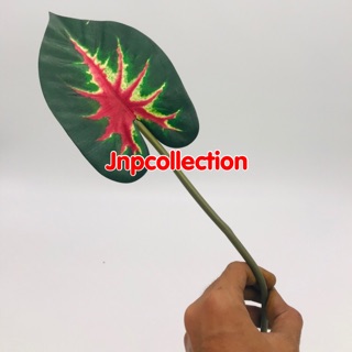 Daun plastik tangkai sri rejeki hijau | Shopee Indonesia