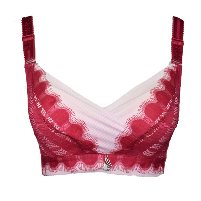 Lipton 008617 BH Wanita Bra Wanita Pakaian Dalam Wanita