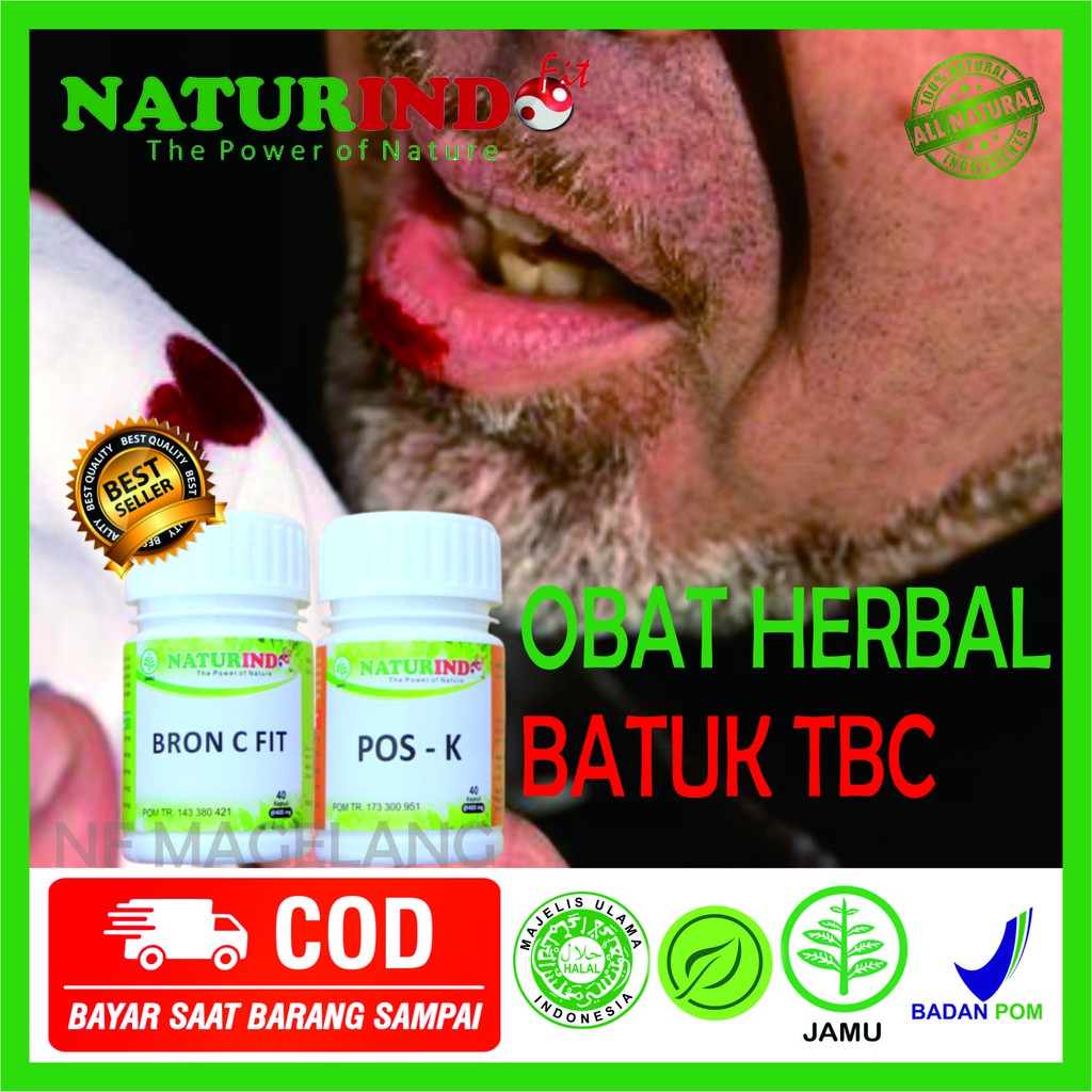 Obat Herbal pernafasan infeksi saluran pernafasan infeksi paru paru bronkitis akut influenza