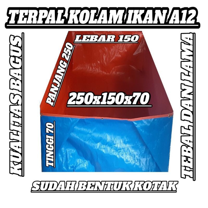 TERPAL KOLAM IKAN A12 250x150x70 KUALITAS BAGUS