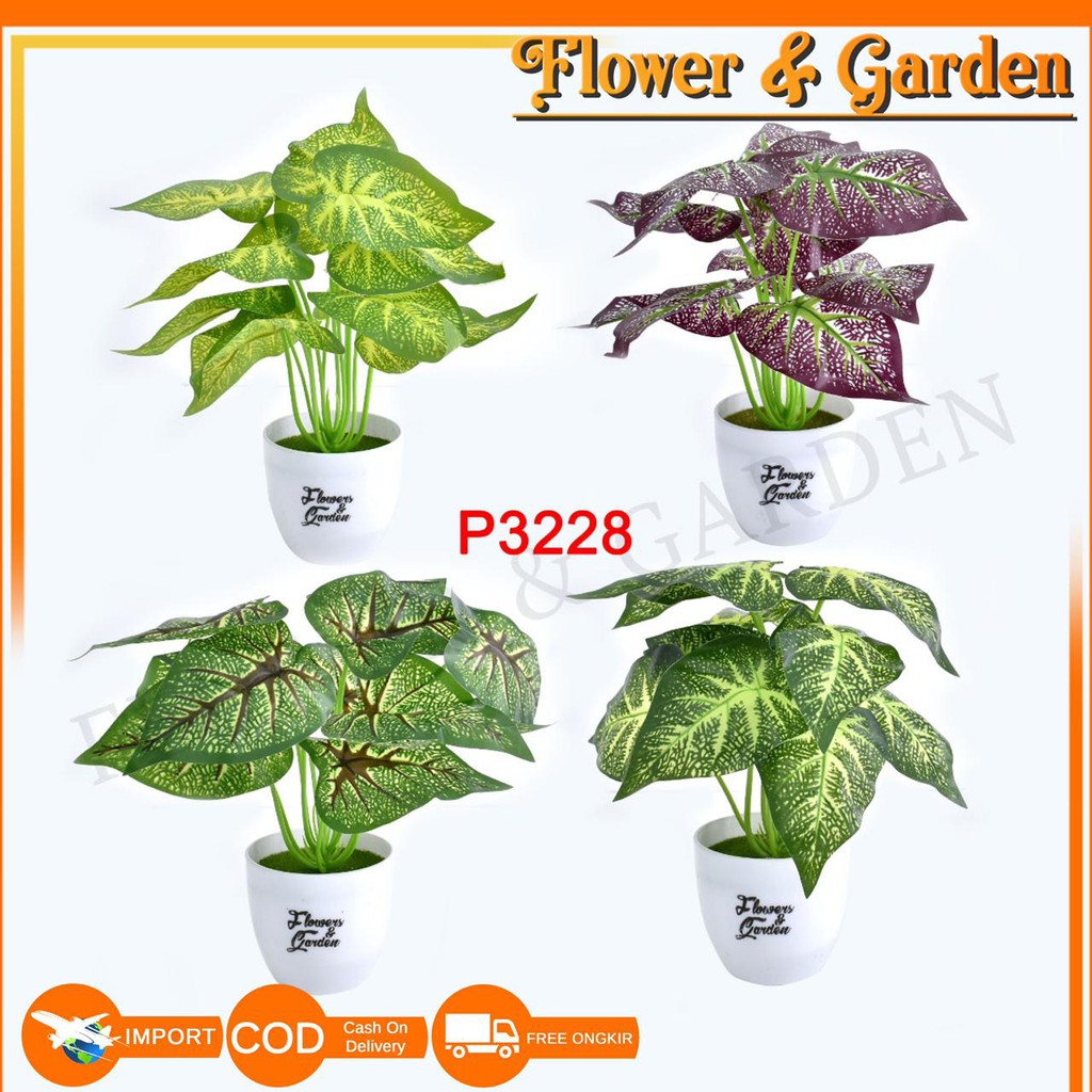 COD/F&G TANAMAN HIAS TANAMAN DAUN PLASTIK TANAMAN HIAS RUMAH BUNGA HIAS BUNGA PLASTIK BUNGA P3228